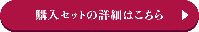 京友禅振袖