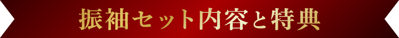 振袖セット内容と特典