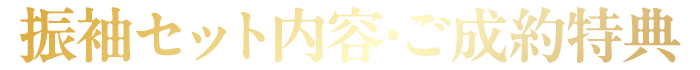 振袖セット内容・特典