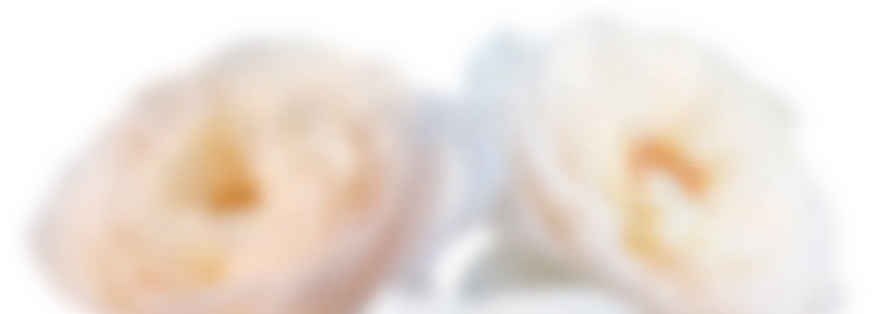 ぼかした花の写真