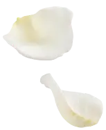 花びら