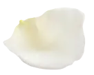 花びら