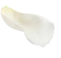 花びら