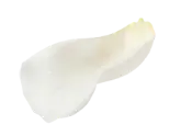 花びら