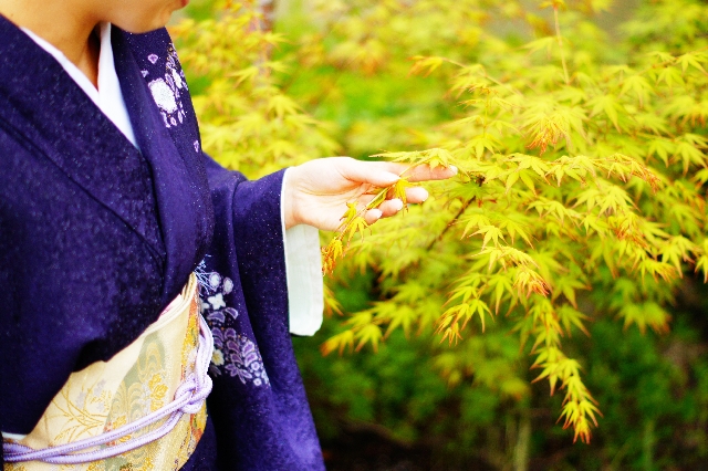 kimono_haneri_shiro