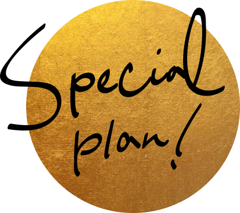 Special plan